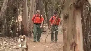 Safety Tips   Hiking