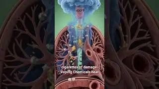 Weed vs Vaping: Which Destroys Your Lungs Faster? 🍃💨