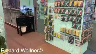 Hobbymasters: The Final Days
