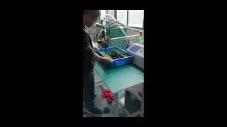 Manual Potting Machine for Electronics Encapsulation GK-DAB