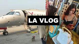 LA VLOG (Flying Private, Beach Day and Koreatown)