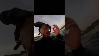 Этот блогер проиграл природе в битве за хайп