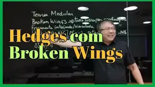 Hedges com Broken Wings - TMB SP bloco 4 Teoria Modular Básico de 2023 em São Paulo