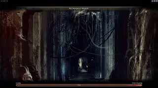 Guild Wars 1 Fort Aspenwood Solo Monk Woh/Spirit Bond Hybrid 04/27/2025