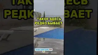 Просто наблюдать жизнь #shorts #realestate #realworld #недвижимость #expatlife #propertyinvestment