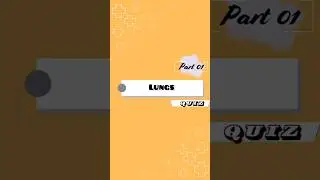 Lungs Quiz #gamesfordoctorstudents #graspernoe #medicalquizgame #medicalquizAi #gameforstudents