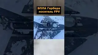 БПЛА Гербера как носитель FPV дрона #гербера #фпвдрон #носитель