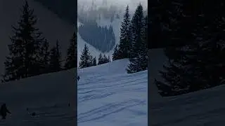 A man taking his dog for a walk on signed, groomed snow trails in Kitzbuhel, Austria.