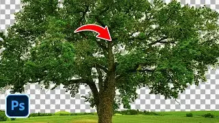 Try this, Remove Tree Background Perfectly using Photoshop