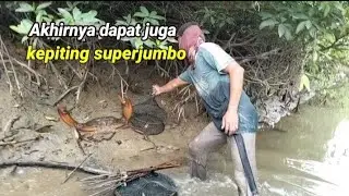Akhirnya dapat kepiting superjumbo.#sumatrautara#carikepiting#nelayan#seafood#mancing#hewanlaut