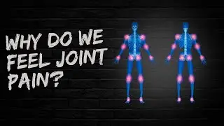 Why do we feel joint pain?  How to get rid of joint pains?