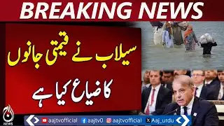 PM Shehbaz Warns of Flood Devastation in Pakistan - Pakistan news