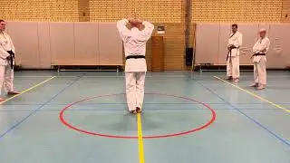 Passai sho
