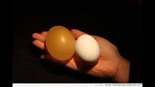 03 24 2021 Rubber Egg-periment