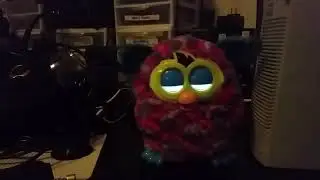 Furby rocks Absolute Territory