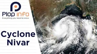 Cyclone Nivar | Videos | Everything You Need To Know | Plop Info