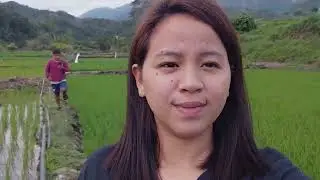 Farm life, full of peace.