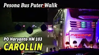 Pesona Bus Puter Walik PO Haryanto HM 103 Carollin Pulo Gebang - Bangak Boyolali