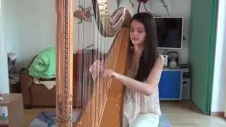 Story Of My Life - One Direction (Harp Cover)