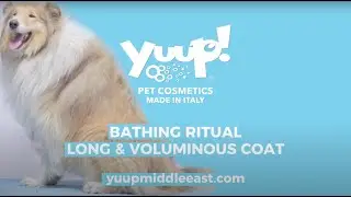 Yuup! Professional Grooming Bathing Ritual Collie Long & Voluminous Coat - Best Dog Shampoo