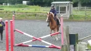 Checkendon Equestrian Centre - BHS Stage 2 Training