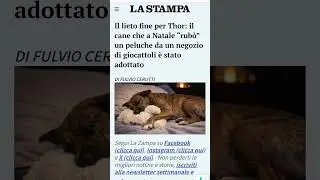 IL CANE THOR HA TROVATO UNA FAMIGLIA! #shorts #frasedelgiorno #perte #rete4 #cane #animali #2026