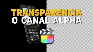 🚀 Transparencia en Final Cut Pro 👉🏻 Exportación y ajustes