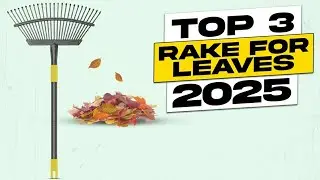 Top 3 BEST Rake for Leaves
