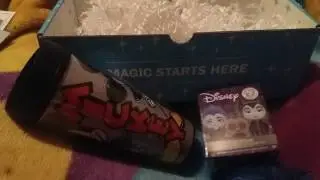 Mickey Monthly Unboxing April 2017