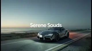 Serene Sounds💫 | Calm Beats &bull; Study &bull; Sleep &bull; Late Night Feel &bull; Night Drive &bull; Chill Mix