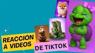REACCION A VIDEOS DE TIKTOK CON LA TORTUGA ARGUENDERA - REACCION 02 #reaccion #comedia #tiktok