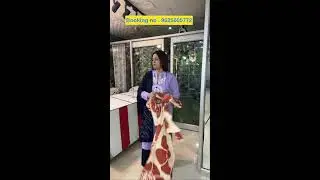 Live Stream of fashion villa