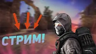 🔴 СТРИМ!!!  по Black Squad  заходите!     ( в прямом эфире! ) 🔴  будем тащить 💪💪