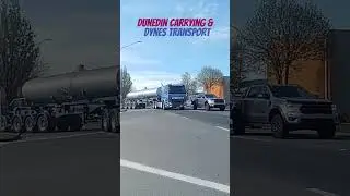 Dunedin Carrying co & Dynes Transport DAF Logger & tanker part 3 #daftruck #newzealand #dunedinnz