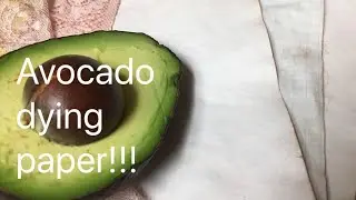 Avocado dying paper for junk journals.
