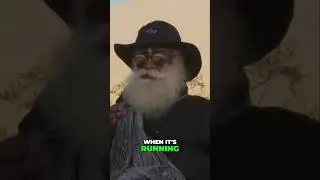Fix Your Life NOW! Sadhguru's Insane Post-Mortem Take #shorts