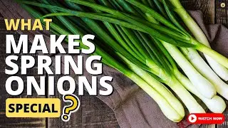 Nature's Pharmacy: Health Benefits You Didn't Know About Spring Onions