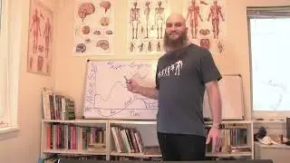 Stimulus Recovery Adaptation