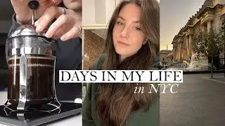 days in my life in NYC | working from home, weekend reset, CPA score transfer process