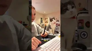 Kucing Temani Majikannya Kerja🐱😊