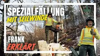 Spezialbaumfällung perfekt gemeistert 💪 | Seilwinde, Bruchleiste & Stammpresse | TimbCo GmbH