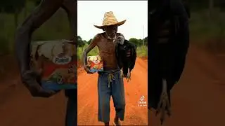 OS  VIDEOS MAIS ENGRAÇADOS CRIADOS POR IA - VIDEOS ENGRAÇADOS