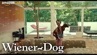 Wiener-Dog - Official Trailer | Amazon Studios