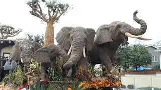 Elephants San Diego Wildlife Floatfest Rose Parade Float Pasadena California USA January 3, 2026