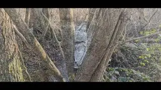 Entlang der Kahl bei Kleinkahl