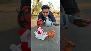 Pigeon Birds with Rc Santa Claus Sleigh And Reindeer gift box Dekho 🎁