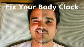 Circadian Rhythm Hacks: Your 24-Hour Blueprint for Peak Health & Performance