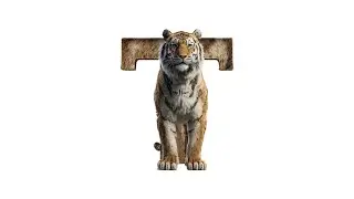 T is for Tiger and also for Tulips. Learn the Alphabet, Letter T. (Songs for Kids)