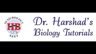 NEET 2020 Biology Paper Solution