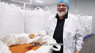The Making of Somato